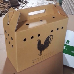 Thùng Carton đựng gà  5 lớp